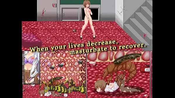 insect hazard h edition pv